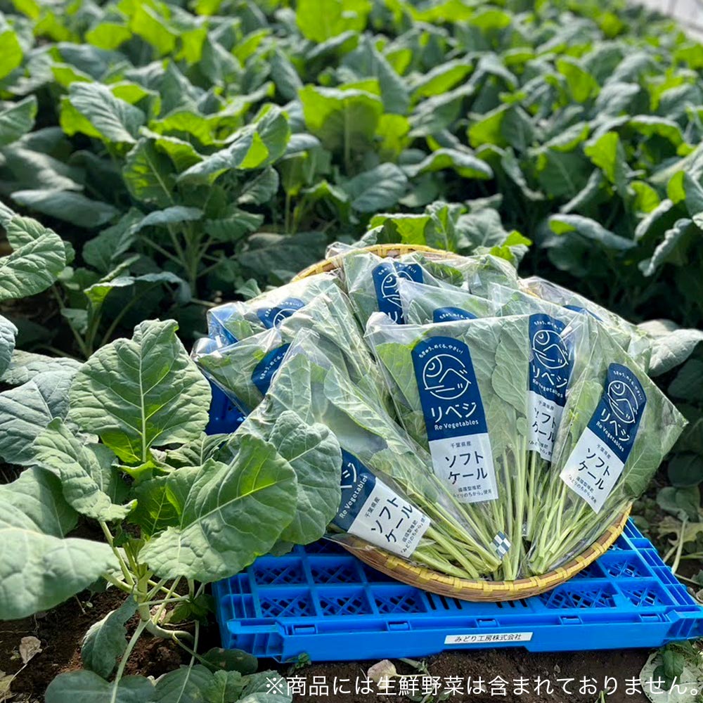 ミネラルバランスのとれた土で育った国産ケールが主役のキーマカレー4個セット